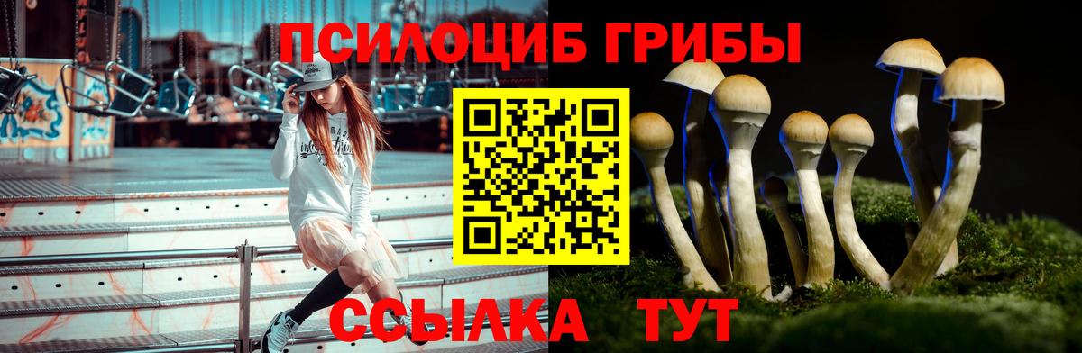 Лянтор  Псилоцибиновые грибы мицелий  Вход с VPN 